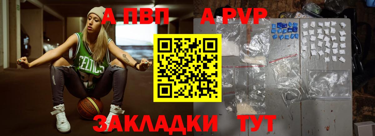 А ПВП СК КРИС  Вход с VPN  Альфа ПВП СК  A-PVP крисы CK  Шебекино 
