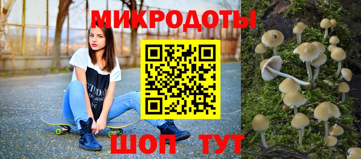 Псилоцибиновые грибы мухоморы Шебекино