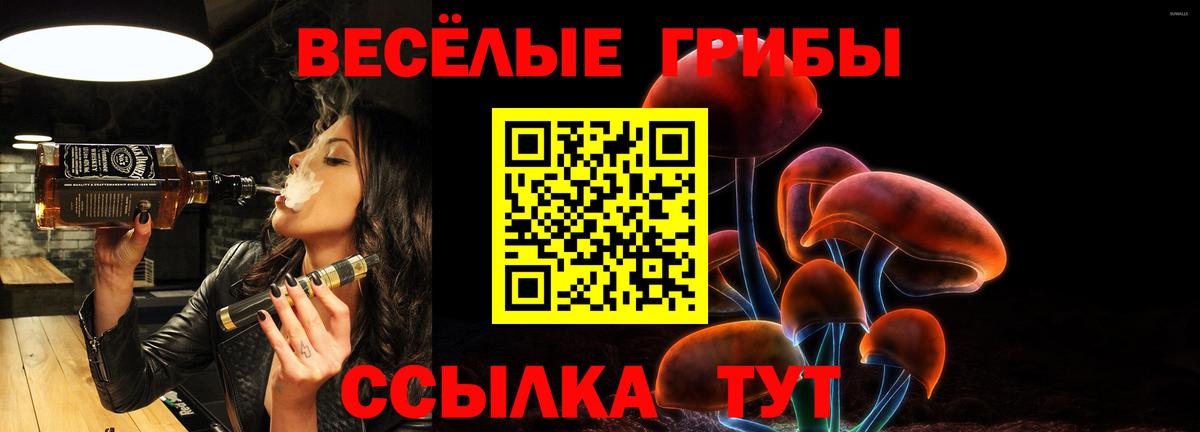 Шебекино  Галлюциногенные грибы ЛСД  Вход с VPN 
